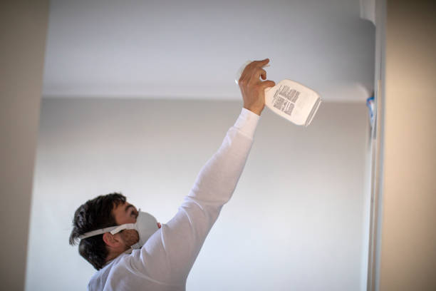 Home Mold Removal in Hoopa, CA