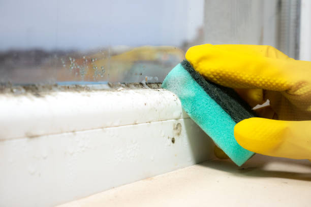 Best Mold Testing  in Hoopa, CA