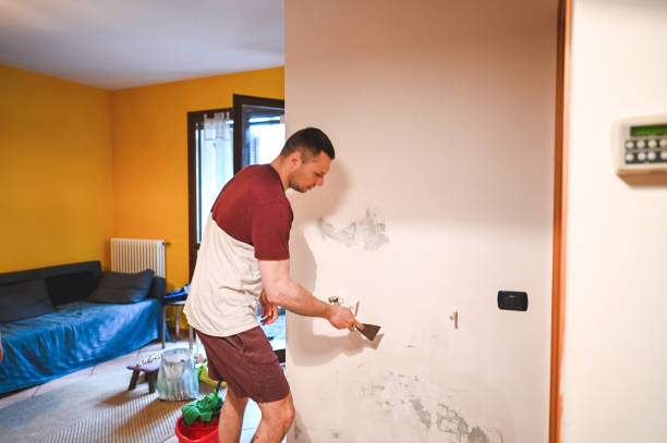 Trusted Hoopa, CA Mold Removal Experts