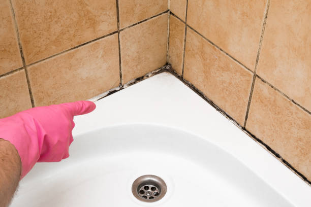 Best Attic Mold Removal  in Hoopa, CA